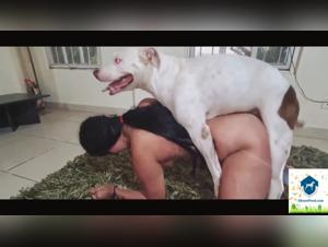 Bestiality Videos with Cats and Dogs