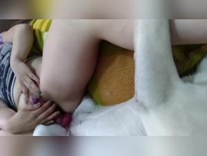 Bestiality: wild and irresistible delights