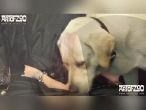 Bestiality with a smart pussy