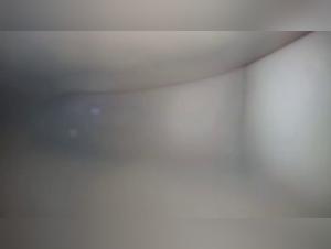 Bestiality with teen and dog: a salty encounter for taboo