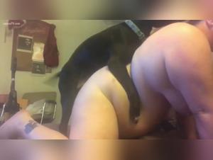 Bestiality xxx in video: the secrets of dog women