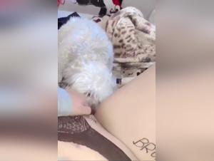 Bestiality zoo sexual filial