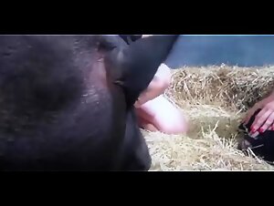 bestialitysextaboo special: Zoobeeg with Ariel, Yasmin and George