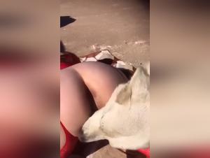 Bestialityxxx, animal porn