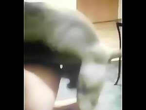 Bestie of zoophile riding: the slut who gets down with her horse