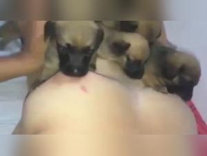 Bestive lactance and crazy desire