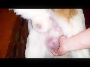 Big Boy: A Beastly and Exciting Encounter