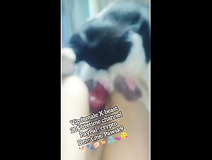 Big Knot: Shock Video of Amateur Zoophilia