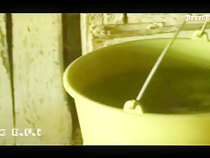 Black Horse and Forbidden Pleasure