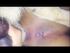 Black woman and dog: a beastly encounter