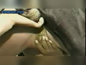 Blonde Hardcore Doggystyle Zoo