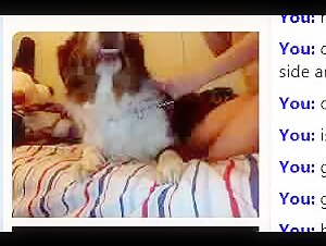 Blonde Teen Amateur Tries Bestiality with Dog on Webcam