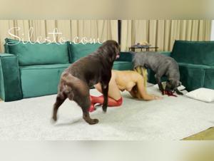 Bloody bestial bond: vereonica Sileileto