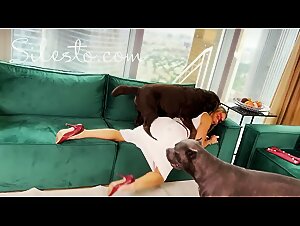 Bloody Party - Part 1 (Full Version)