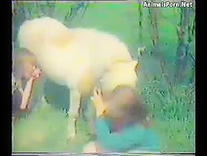 Bodil Joensen - An Extreme Zoophilia Experience