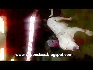 Brazilian woman and dog: knot and ejaculation