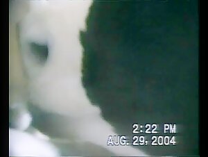 Breast 03: A beastly and exciting encounter