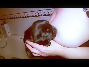 Breast milk for dogs