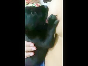 Breastfeeding Puppy 4 - An intense bestial experience