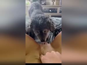 Breathtaking Bestiality