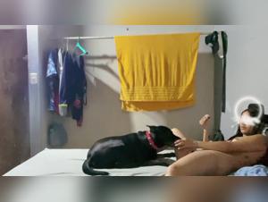 Broken Boundaries: Female & Canine Erotic Reactions