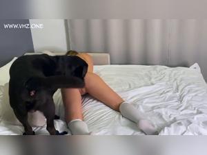 Broken taboos: Veronica Silesto animal exhibitionism