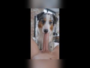 Brutal Desire: A Woman, An Australian Shepherd, Intense Passion
