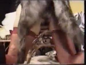 Brutal Retro Dogfuck