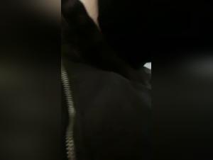 Brute enjoyment: vocal amateur and dog