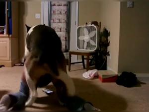 Brute submission: canine fuck and haunting love