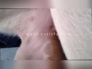 Brute zoophilia: amateur teenage discovery