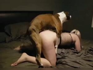 Brute zoophilia: the canine passion revealed