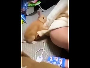 Bunny Incest: Zoofilia Extreme & Dark Desire