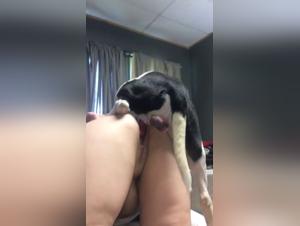 Business delights: animality in the heart of debauchery