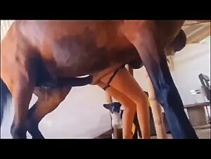 Business delights: Hardcore scenes