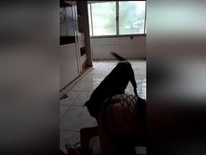 Business delights: juicy flesh and sharp fangs