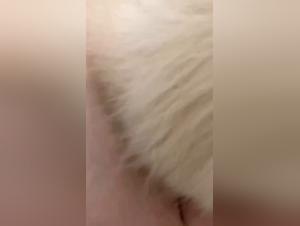 Business delights: sluts and dogs in heat