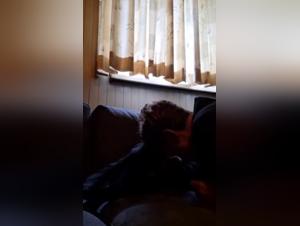 Business delights: wild granny and her dog