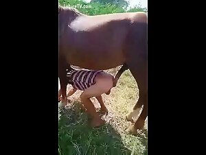 Caballo cachondo: fuck with dog, slut sucks her dog, zootubex animali