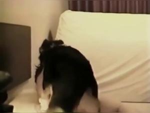 Caledonian Breanna: Canine Obsession