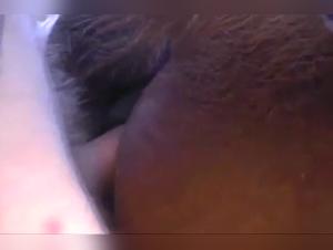 Caledonian: Wild Delights - Part 1