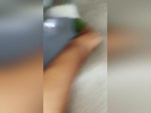 Canide debauchery: wild animal love