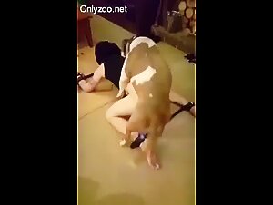 Canin bdsm: where domination is feline