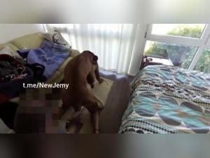 Canine and creampie fuck: An animal orgasm