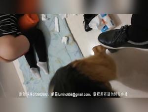 Canine Asian debauchery: extreme orgies