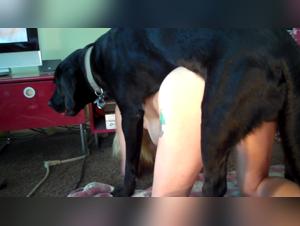 Canine bestiality: chills and extreme enjoyment