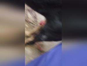 Canine bestiality: Forbidden pleasure filmed