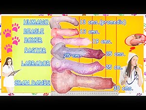 Canine Bestiality Manual
