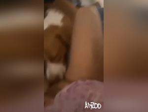 Canine bestiality: Wild and uncontrollable delights