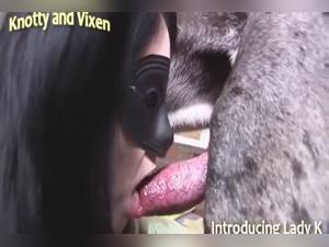 Canine bestiality: wild orgies and fucking debauched